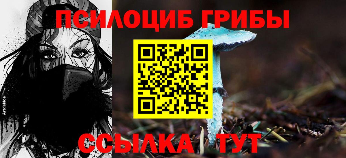 Галлюциногенные грибы мицелий Усть-Джегута