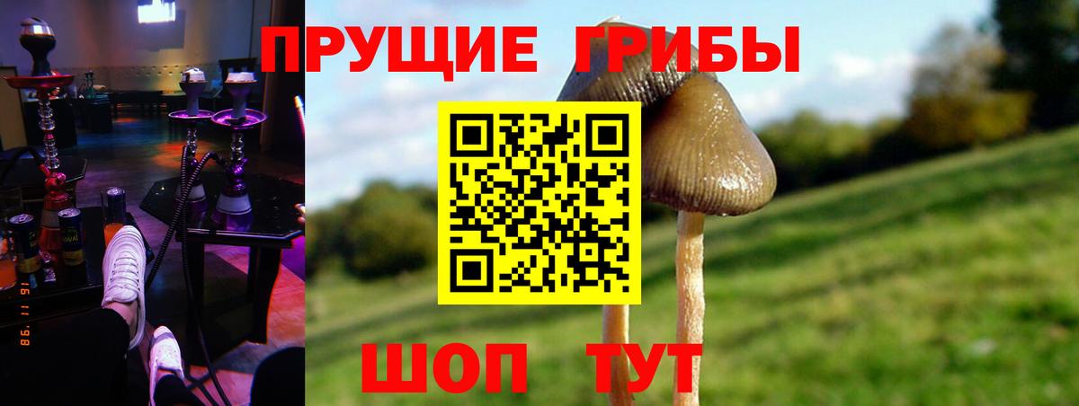 Усть-Джегута  магазин    Вход с VPN  Галлюциногенные грибы мухоморы  Псилоцибиновые грибы прущие грибы 